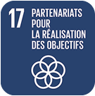 17-partenaires-pour-realisation-des-objectigs-300x300